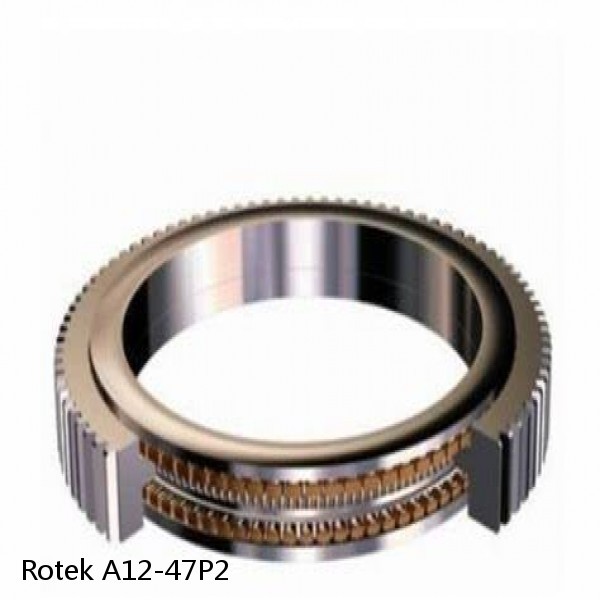 A12-47P2 Rotek Slewing Ring Bearings