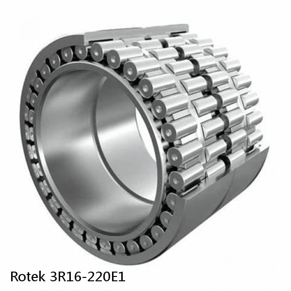 3R16-220E1 Rotek Slewing Ring Bearings