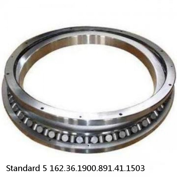 162.36.1900.891.41.1503 Standard 5 Slewing Ring Bearings