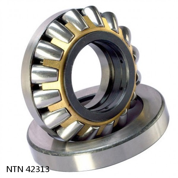 42313 NTN Cylindrical Roller Bearing