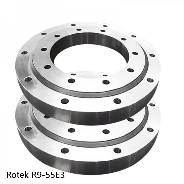 R9-55E3 Rotek Slewing Ring Bearings