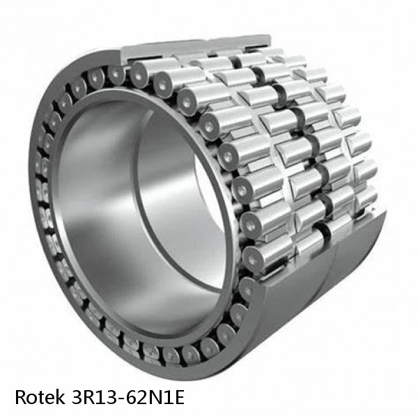 3R13-62N1E Rotek Slewing Ring Bearings