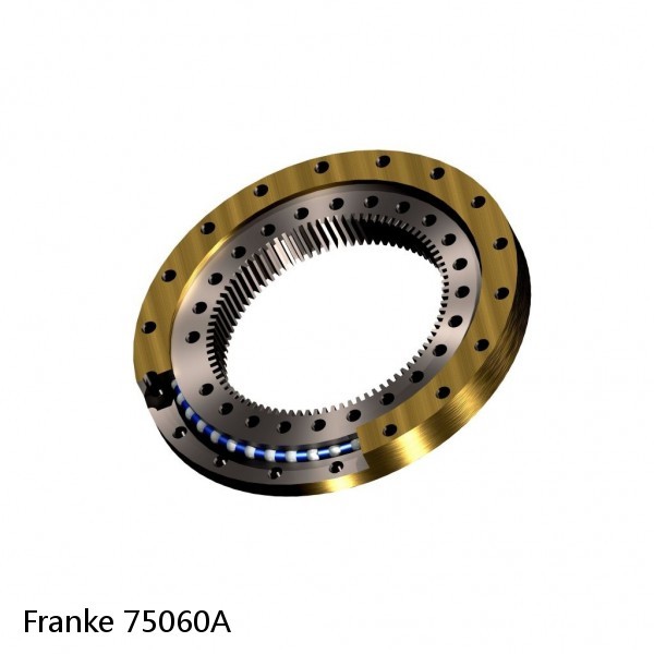 75060A Franke Slewing Ring Bearings