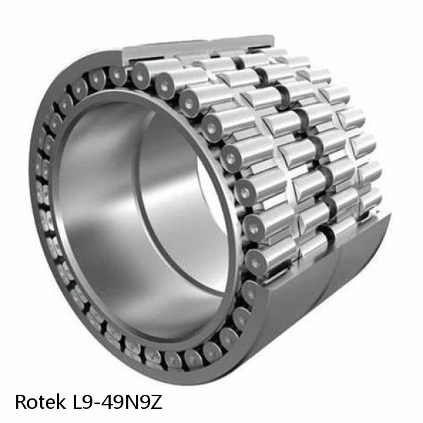 L9-49N9Z Rotek Slewing Ring Bearings