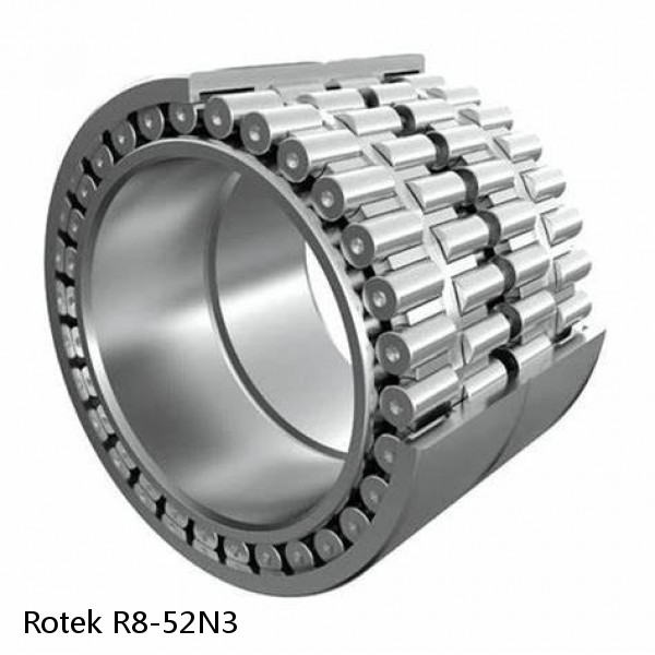 R8-52N3 Rotek Slewing Ring Bearings