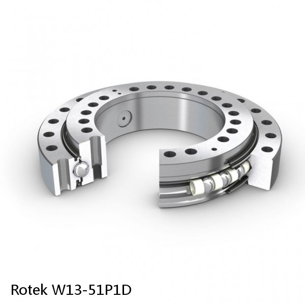 W13-51P1D Rotek Slewing Ring Bearings