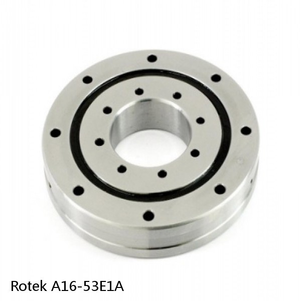 A16-53E1A Rotek Slewing Ring Bearings