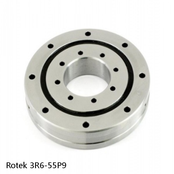 3R6-55P9 Rotek Slewing Ring Bearings