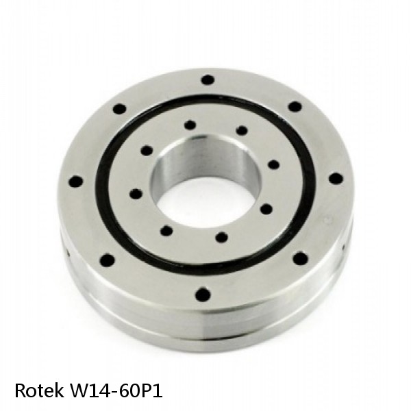 W14-60P1 Rotek Slewing Ring Bearings