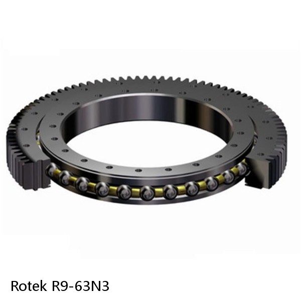 R9-63N3 Rotek Slewing Ring Bearings