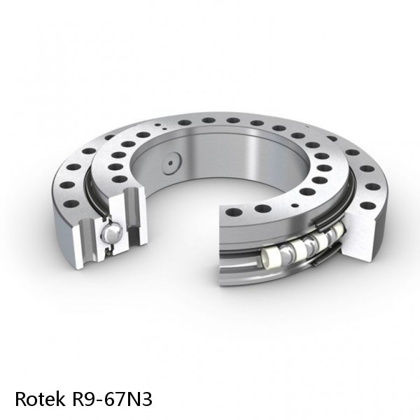 R9-67N3 Rotek Slewing Ring Bearings