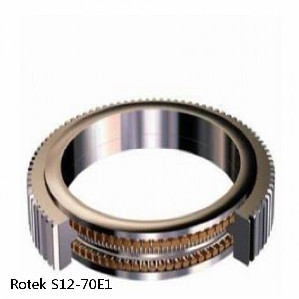 S12-70E1 Rotek Slewing Ring Bearings