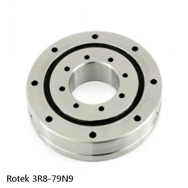 3R8-79N9 Rotek Slewing Ring Bearings