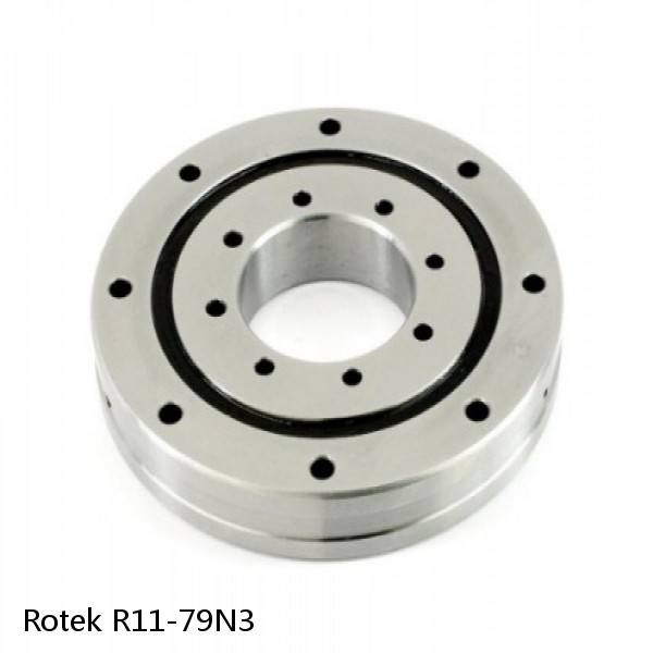 R11-79N3 Rotek Slewing Ring Bearings