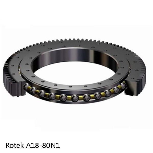 A18-80N1 Rotek Slewing Ring Bearings