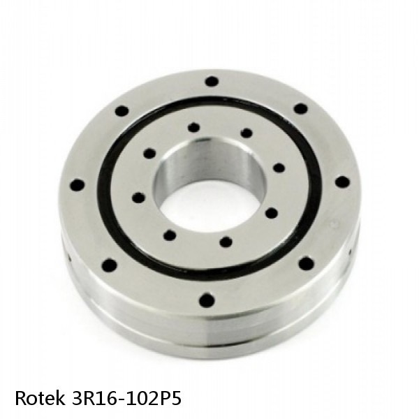 3R16-102P5 Rotek Slewing Ring Bearings