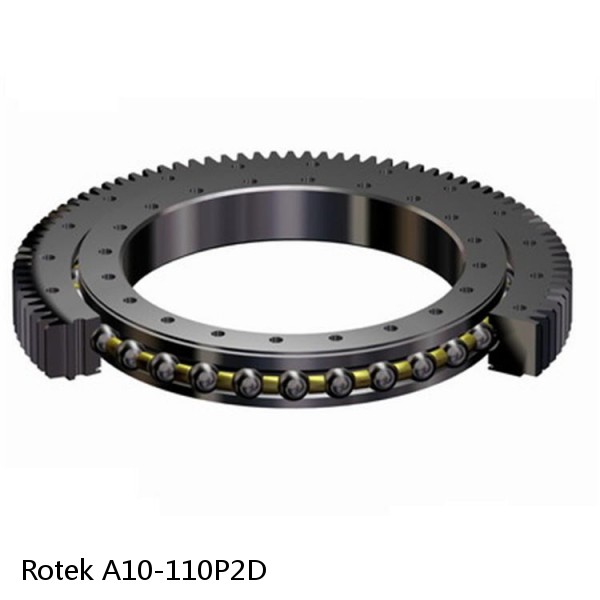 A10-110P2D Rotek Slewing Ring Bearings