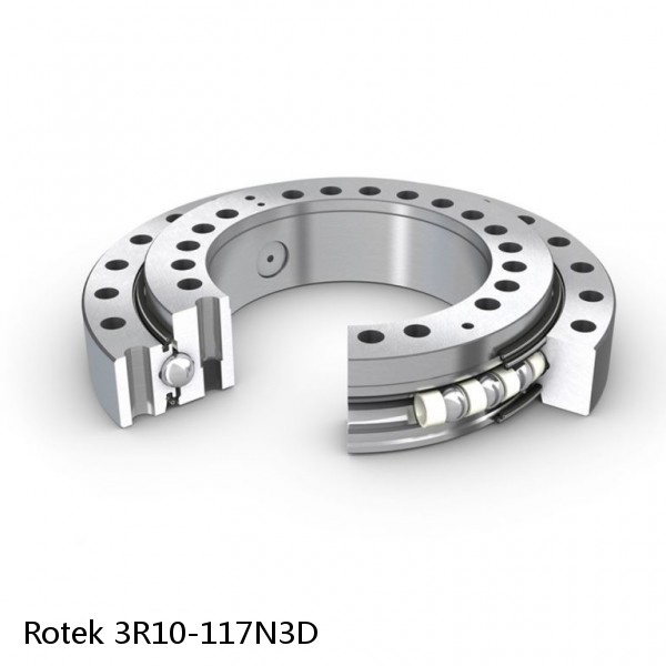 3R10-117N3D Rotek Slewing Ring Bearings