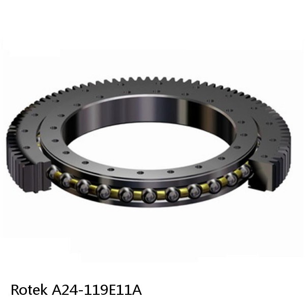 A24-119E11A Rotek Slewing Ring Bearings