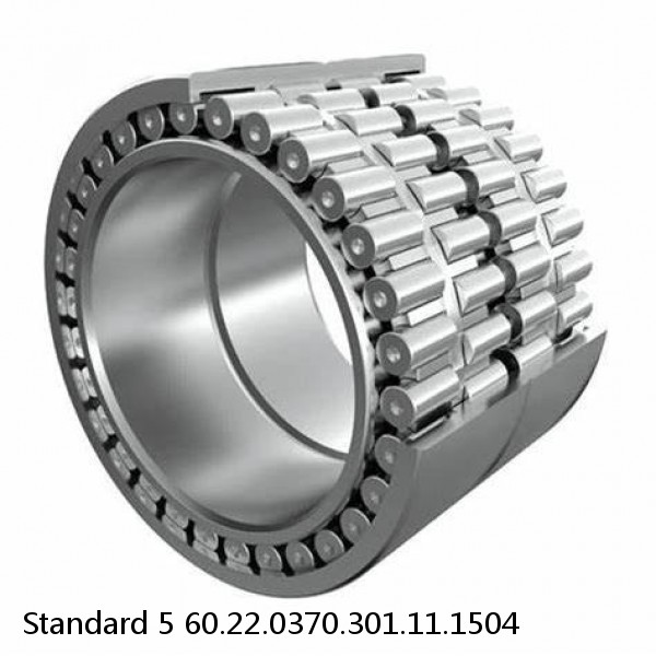 60.22.0370.301.11.1504 Standard 5 Slewing Ring Bearings