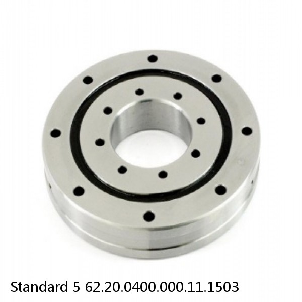 62.20.0400.000.11.1503 Standard 5 Slewing Ring Bearings