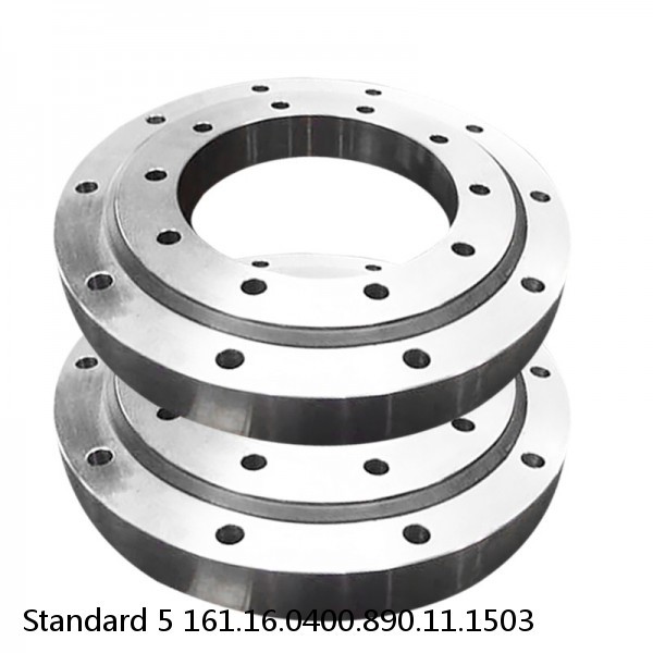 161.16.0400.890.11.1503 Standard 5 Slewing Ring Bearings