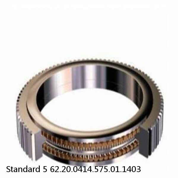 62.20.0414.575.01.1403 Standard 5 Slewing Ring Bearings