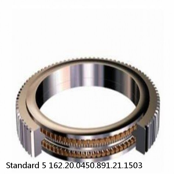 162.20.0450.891.21.1503 Standard 5 Slewing Ring Bearings