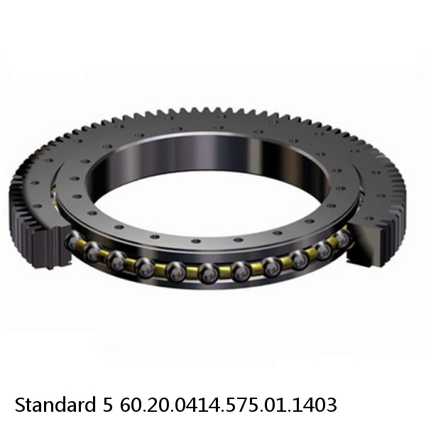 60.20.0414.575.01.1403 Standard 5 Slewing Ring Bearings