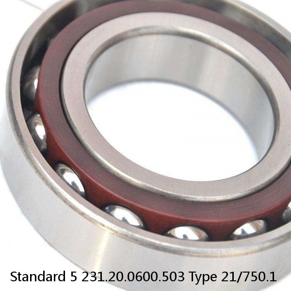 231.20.0600.503 Type 21/750.1 Standard 5 Slewing Ring Bearings