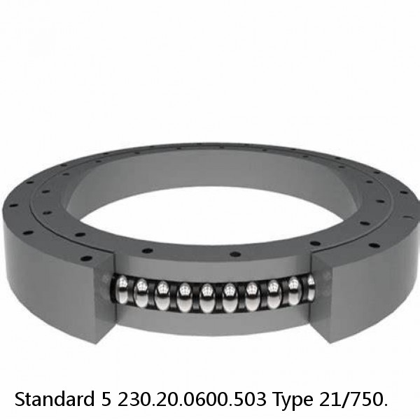 230.20.0600.503 Type 21/750. Standard 5 Slewing Ring Bearings