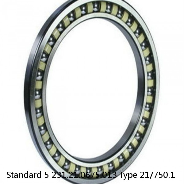 231.21.0675.013 Type 21/750.1 Standard 5 Slewing Ring Bearings