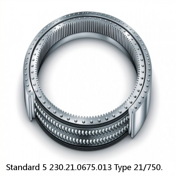 230.21.0675.013 Type 21/750. Standard 5 Slewing Ring Bearings