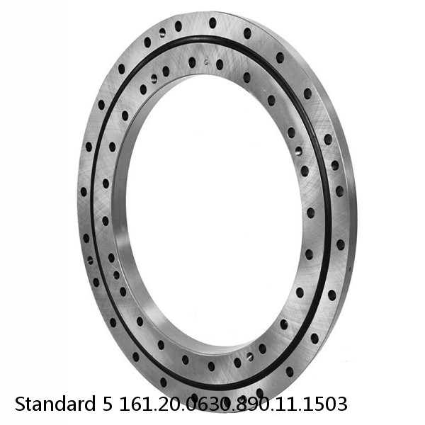 161.20.0630.890.11.1503 Standard 5 Slewing Ring Bearings