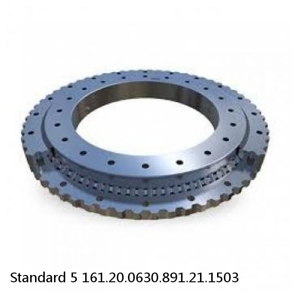 161.20.0630.891.21.1503 Standard 5 Slewing Ring Bearings