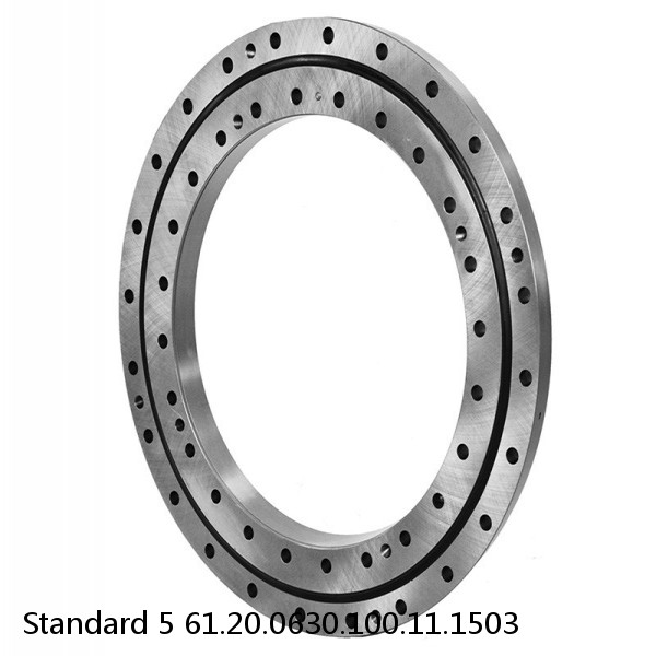 61.20.0630.100.11.1503 Standard 5 Slewing Ring Bearings