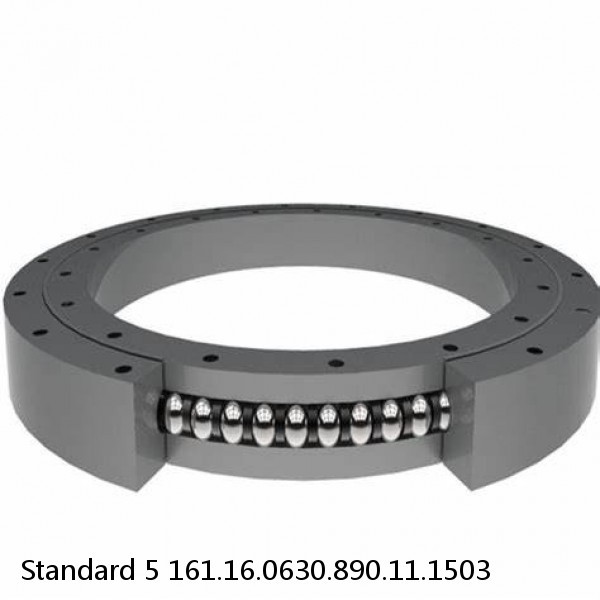 161.16.0630.890.11.1503 Standard 5 Slewing Ring Bearings