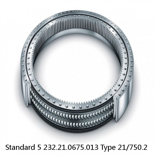 232.21.0675.013 Type 21/750.2 Standard 5 Slewing Ring Bearings