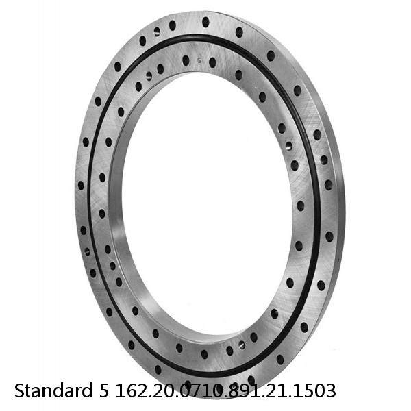 162.20.0710.891.21.1503 Standard 5 Slewing Ring Bearings