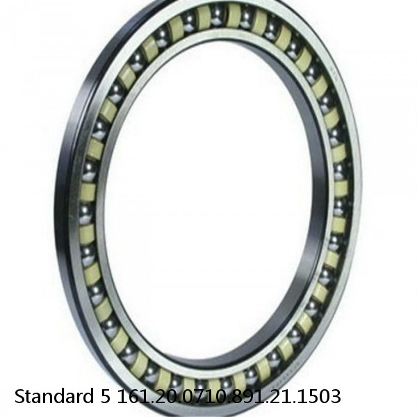 161.20.0710.891.21.1503 Standard 5 Slewing Ring Bearings