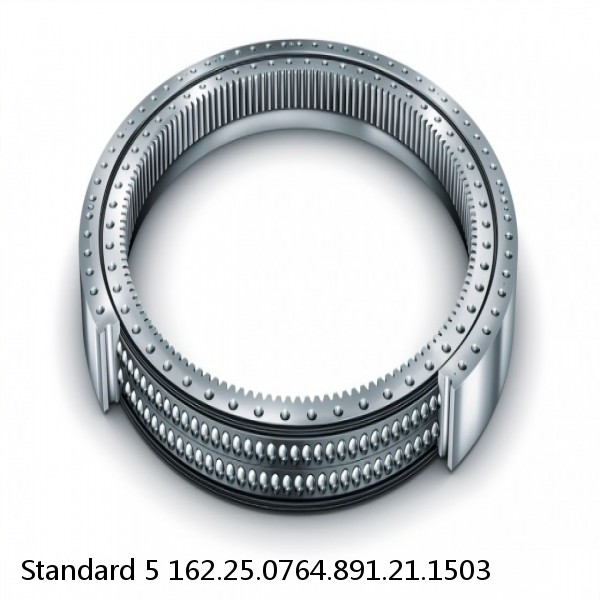 162.25.0764.891.21.1503 Standard 5 Slewing Ring Bearings