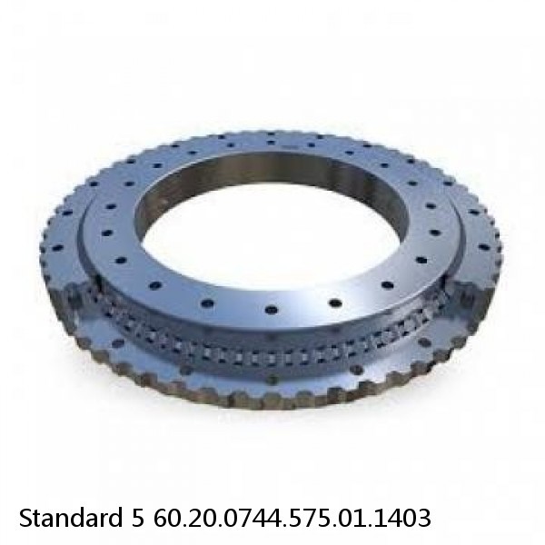 60.20.0744.575.01.1403 Standard 5 Slewing Ring Bearings