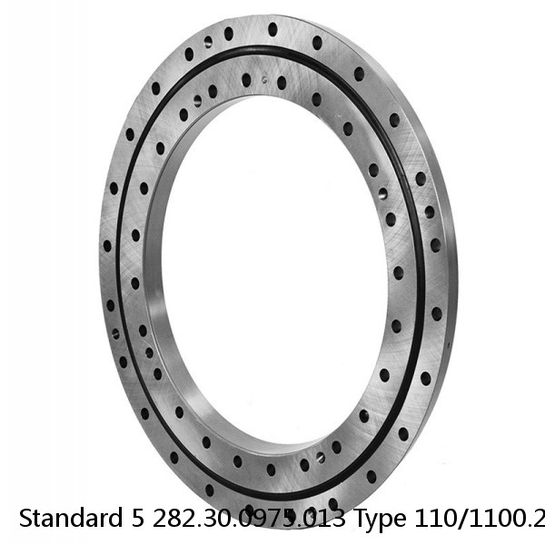 282.30.0975.013 Type 110/1100.2 Standard 5 Slewing Ring Bearings