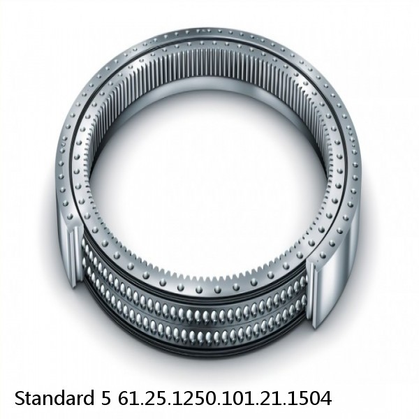 61.25.1250.101.21.1504 Standard 5 Slewing Ring Bearings