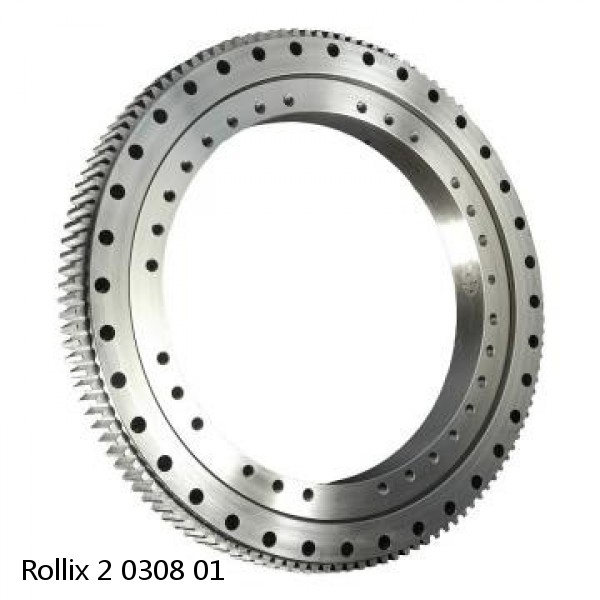 2 0308 01 Rollix Slewing Ring Bearings