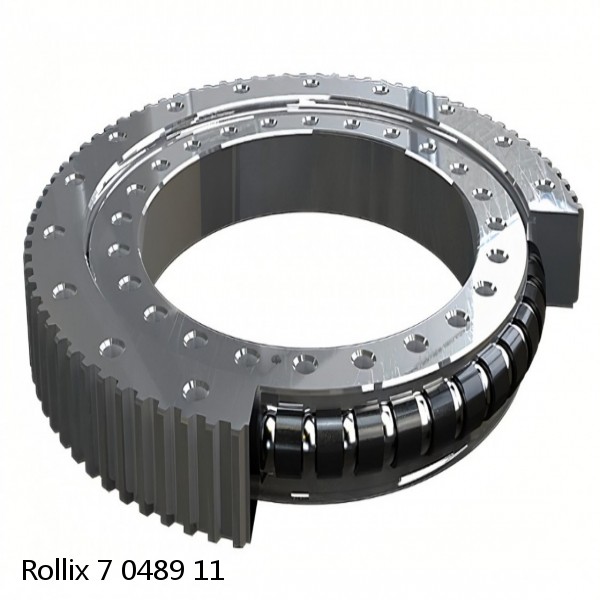 7 0489 11 Rollix Slewing Ring Bearings