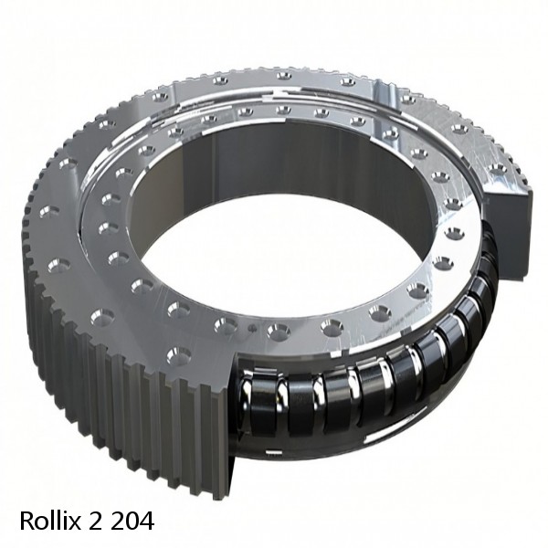 2 204 Rollix Slewing Ring Bearings