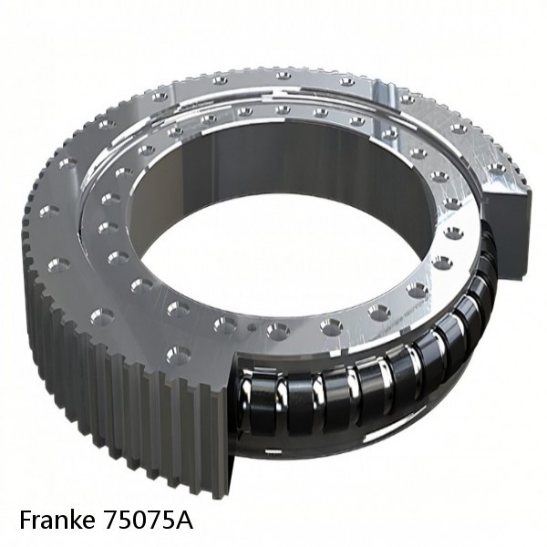 75075A Franke Slewing Ring Bearings